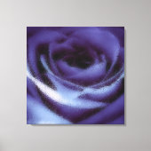 Rose von Weichlavender Leinwanddruck (Vorderseite)