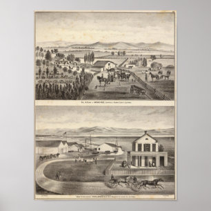 Rose, Warmfrühlingshäufigkeit Poster