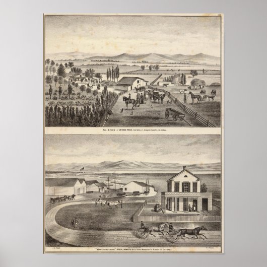 Rose, Warmfrühlingshäufigkeit Poster (Vorne)