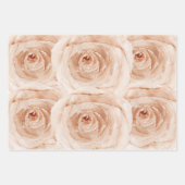 Rose Wasserfarbe Elegante, florale hübsche Hochzei Geschenkpapier Set (Vorderseite)