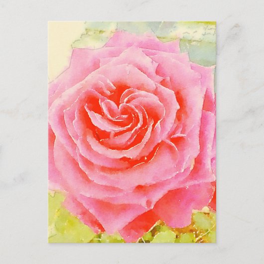 Rose Wasserfarbe Postkarte (Vorderseite)