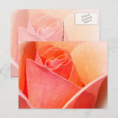 Rose Wasserfarbeneffekt Floral Postkarte (Vorne/Hinten)