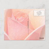 Rose Wasserfarbeneffekt Floral Postkarte (Rückseite)