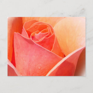 Rose Wasserfarbeneffekt Floral Postkarte