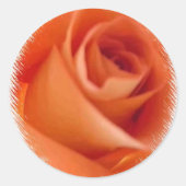ROSE WEDD UMSCHLAG AUFKLEBER STICKER (Vorderseite)