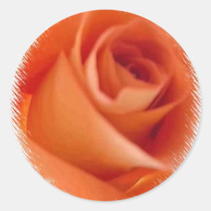 ROSE WEDD UMSCHLAG AUFKLEBER STICKER