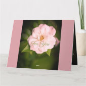 Rose White Garden Karte (Rückseite)