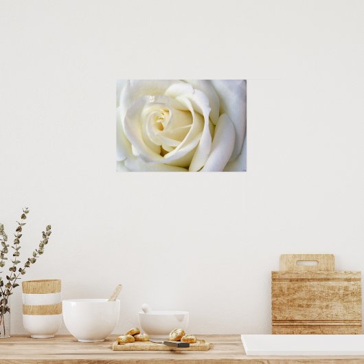 Rose White Poster (Küche)