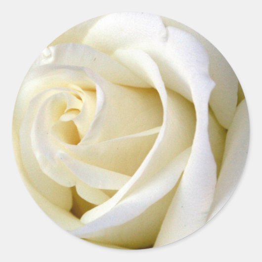 Rose White Runder Aufkleber (Vorderseite)