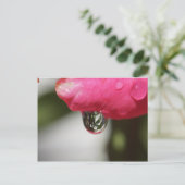 Rose with a view postkarte (Stehend Vorderseite)