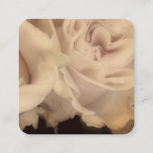 Rose zartes hellrosa Foto Quadratische Visitenkarte (Rückseite)