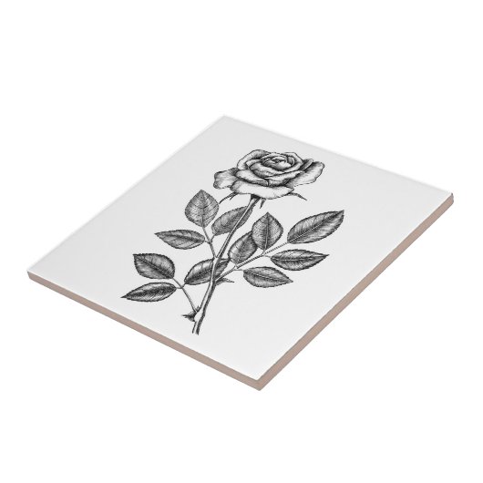 ROSE ZEICHN 2 FLIESE (Seite)