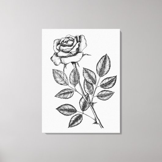 ROSE ZEICHN 2 LEINWANDDRUCK (Vorderseite)