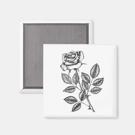 ROSE ZEICHN 2 MAGNET (Vorderseite/Rückseite)