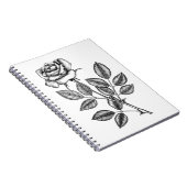 Rose zeichn 2 notizblock (Rechte Seite)