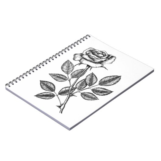 Rose zeichn 2 notizblock (Linke Seite)