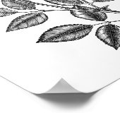 ROSE ZEICHN 2 POSTER (Ecke)