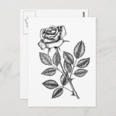ROSE ZEICHN 2 POSTKARTE (Vorne/Hinten)