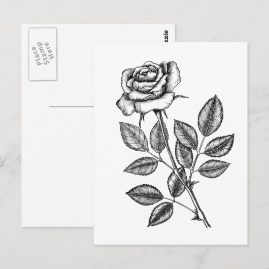 ROSE ZEICHN 2 POSTKARTE (Vorne/Hinten)