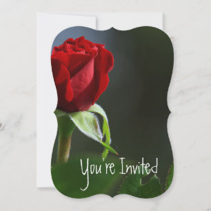 Rose zum 15. Geburtstag Hochzeit Blume Garten Einladung