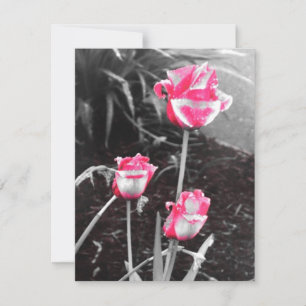 Rose zum Abreißen - Design 2