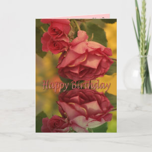 Rose zum Geburtstag Karte