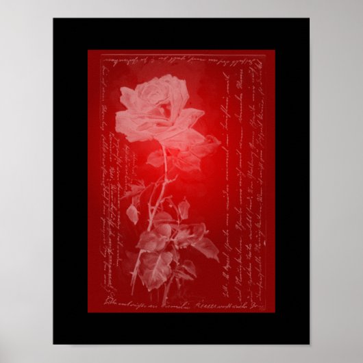 Rose zum roten Poster (Vorne)