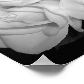 Rose zur Leinwand Poster (Ecke)