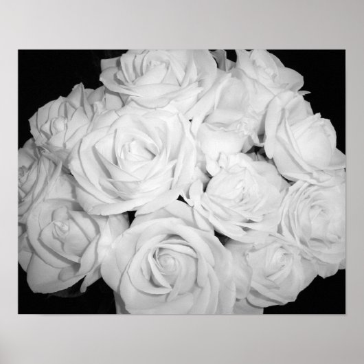 Rose zur Leinwand Poster (Vorne)