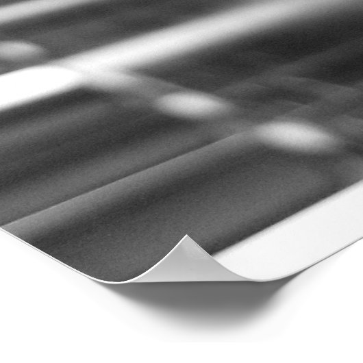 Rose zur Piano-Sammlung I Poster (Ecke)