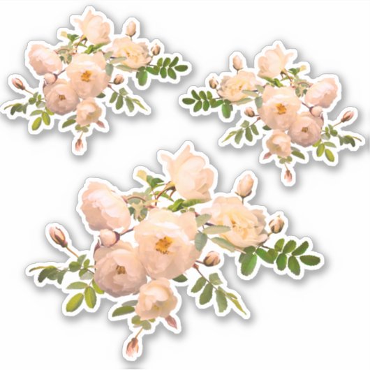 Rose Zweig Romantik Aufkleber (Vorderseite)