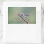 Roseat Skimmer Dragonfly Rechteckiger Aufkleber (Tasche)