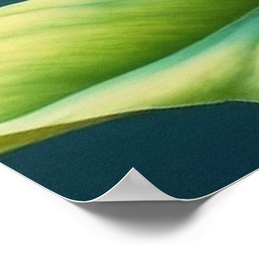 Roseate Blush Poster (Ecke)