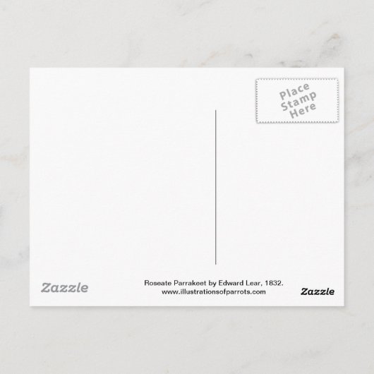 Roseate Parrakeet von Edward Lear Postkarte (Rückseite)