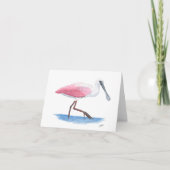 Roseate Spoonbill (Vorderseite)