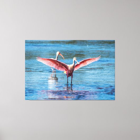 ROSEATE SPOONBILL 60 X 40 WRAPPED CANVAS PRINT LEINWANDDRUCK (Vorderseite)