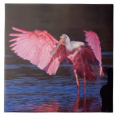 Roseate Spoonbill (Ajaia ajaja) mit Kormorant Fliese (Vorderseite)