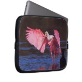 Roseate Spoonbill (Ajaia ajaja) mit Kormorant Laptopschutzhülle (Vorne Rechts)