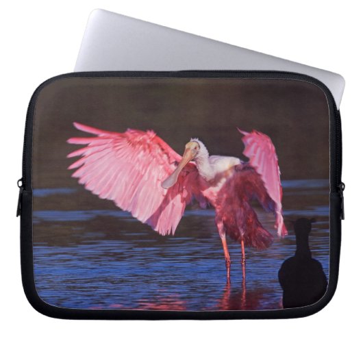 Roseate Spoonbill (Ajaia ajaja) mit Kormorant Laptopschutzhülle (Vorderseite)