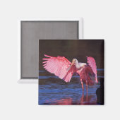 Roseate Spoonbill (Ajaia ajaja) mit Kormorant Magnet (Vorderseite/Rückseite)