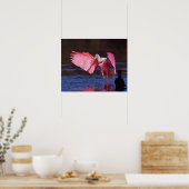 Roseate Spoonbill (Ajaia ajaja) mit Kormorant Poster (Küche)