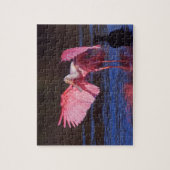 Roseate Spoonbill (Ajaia ajaja) mit Kormorant Puzzle (Vertikal)