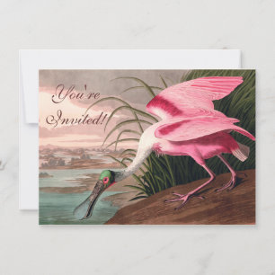 Roseate Spoonbill Audubon Bird Wildlife Einladung