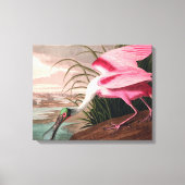 Roseate Spoonbill Audubon Bird Wildlife Leinwanddruck (Vorderseite)