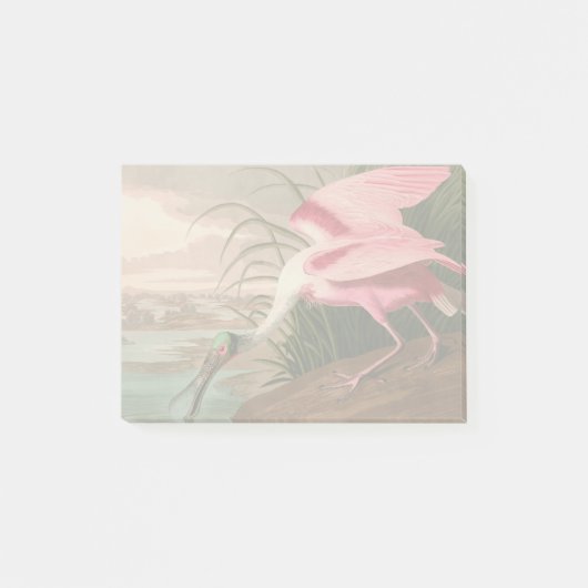 Roseate Spoonbill Audubon Bird Wildlife Post-it Klebezettel (Vorderseite)