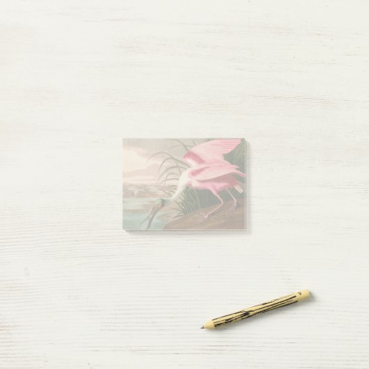 Roseate Spoonbill Audubon Bird Wildlife Post-it Klebezettel (Auf Schreibtisch)