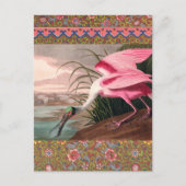 Roseate Spoonbill Audubon Bird Wildlife Postkarte (Vorderseite)