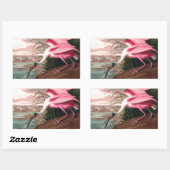 Roseate Spoonbill Audubon Bird Wildlife Rechteckiger Aufkleber (Blatt)