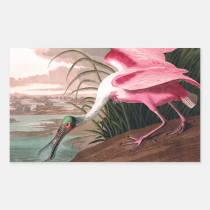 Roseate Spoonbill Audubon Bird Wildlife Rechteckiger Aufkleber