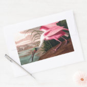 Roseate Spoonbill Audubon Bird Wildlife Rechteckiger Aufkleber (Umschlag)